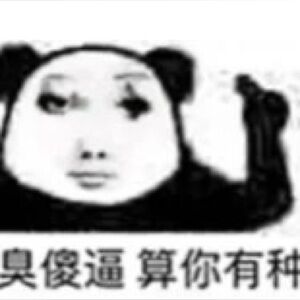 New UGG Tazz Tasman Sandals Women Slipper